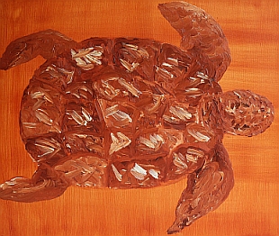 Image of Waraba turtle