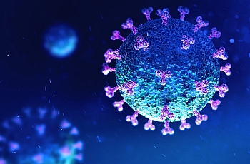 COVID virus sample image