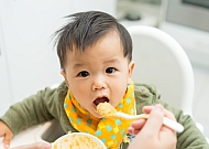 Chinese speaking starting family food groups